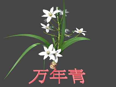 White Flowers With Green Leaves On Evergreen Plant Natural Botanical Fresh View 3d model