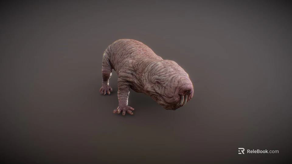 3D Rendered Naked Mole Rat With Wrinkled Skin And Large Teeth 3d model 
