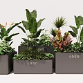 Gray Square Flower Planters With Various Green Plants Featuring LOGO Design 3d model