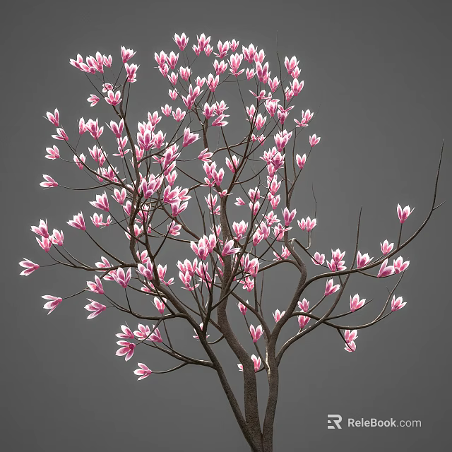Vibrant Pink Flowers Blooming On Tree Branches Against Soft Gray Background 3d model