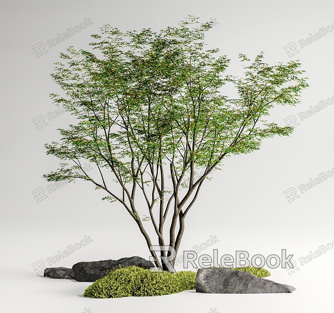 Red maple landscape tree courtyard arbor maple courtyard sketch moss micro-terrain stone model