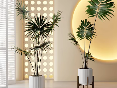 Large Green Leafy Potted Plants In White Ceramic Pots With Modern Interior Decor 3d model