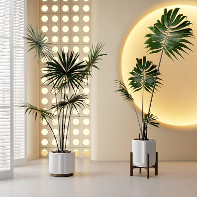 Large Green Leafy Potted Plants In White Ceramic Pots With Modern Interior Decor 3d model