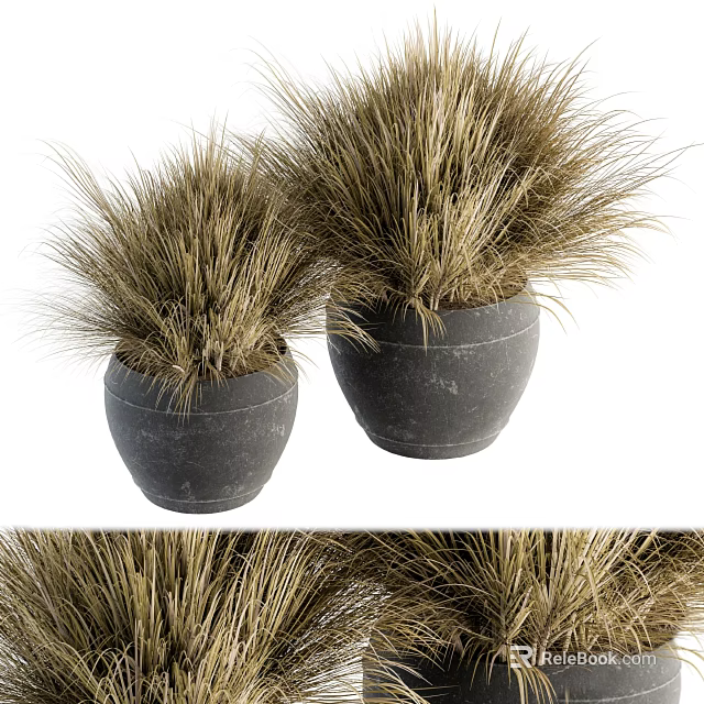 Two Dark Stone Vases With Dry Grass Decorative Plants For Home 3d model 