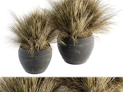 Two Dark Stone Vases With Dry Grass Decorative Plants For Home 3d model