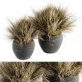 Two Dark Stone Vases With Dry Grass Decorative Plants For Home 3d model