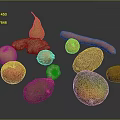 Fresh Assorted Fruits On Dark Background Including Apple Pear Mango And Pomegranate