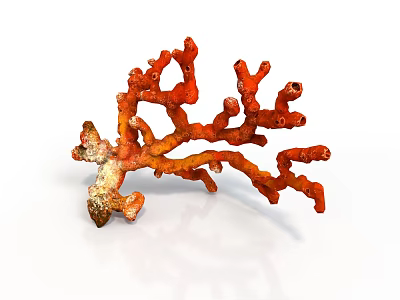Vibrant Orange Branched Coral Marine Animal With Intricate Structure In Underwater Ocean Habitat 3d model