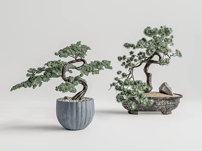 Two Bonsai Plants With Curved Trunks Green Foliage In Blue And Stone Containers 3d model