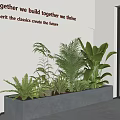 Indoor Potted Plants with Various Green Plants in Gray Planter and Curved Lighting