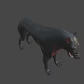 Fierce Black Wolf Game Movie Character With Red Eyes And Sharp Teeth