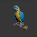 Vibrant Blue And Yellow Macaw Parrot Perched On A Wooden Branch