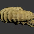 Natural Stone Sculptural Carving of Spiral Ammonite Fossil with Intricate Textures