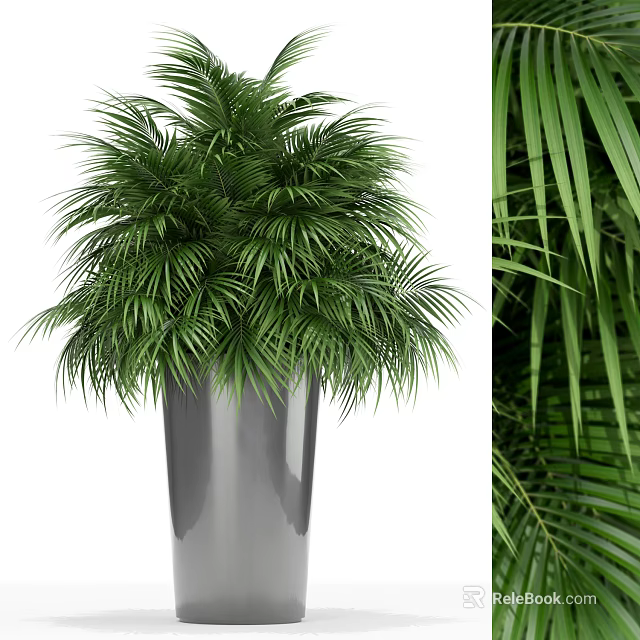 Green Palm Potted Plant in Silver Metal Pot with Lush Fronds for Indoor Decor 3d model 