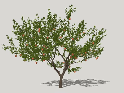Lush Fruit Arbor With Green Leaves And Red Fruits On Brown Trunk 3d model