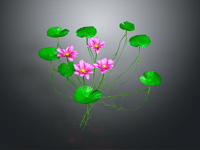 Vibrant Pink Water Lilies With Green Leaves And Long Stems 3d model