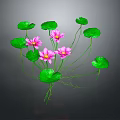 Vibrant Pink Water Lilies With Green Leaves And Long Stems