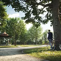Garden Landscape With Tall Trees Person Leaning Against Tree Bicycle And Sunlit Pavilion Path