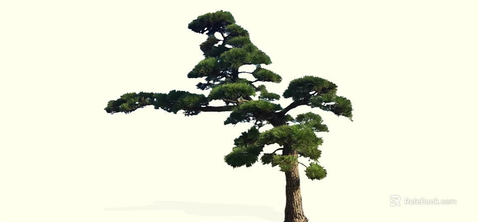 Unique Shaped Pine Tree With Curved Branches And Lush Green Needles 3d model 
