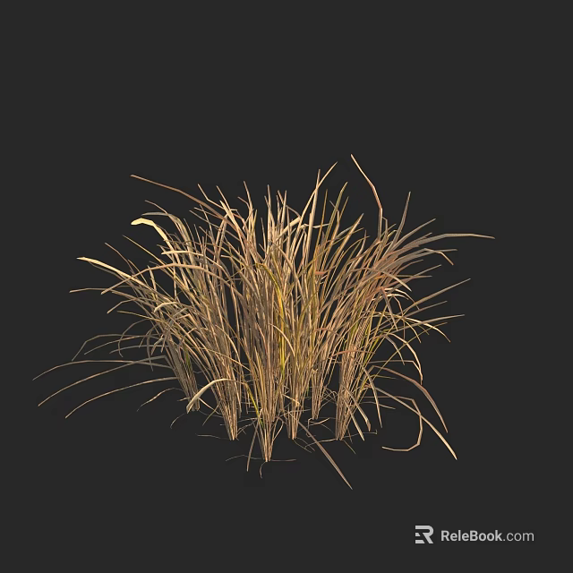 Lush Tan Hay Grass Cluster With Natural Texture On Black Background 3d model 