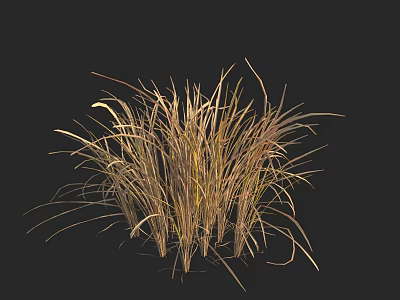 Lush Tan Hay Grass Cluster With Natural Texture On Black Background 3d model