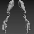 Mythical Creature Limbs 3D Model Showing Skeletal Structure And Muscle Texture 3d model