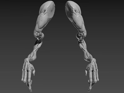Mythical Creature Limbs 3D Model Showing Skeletal Structure And Muscle Texture 3d model