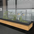 Lush Aquatic Glass Fish Tank With Green Plants Colorful Tropical Fish And Decorative Ornaments