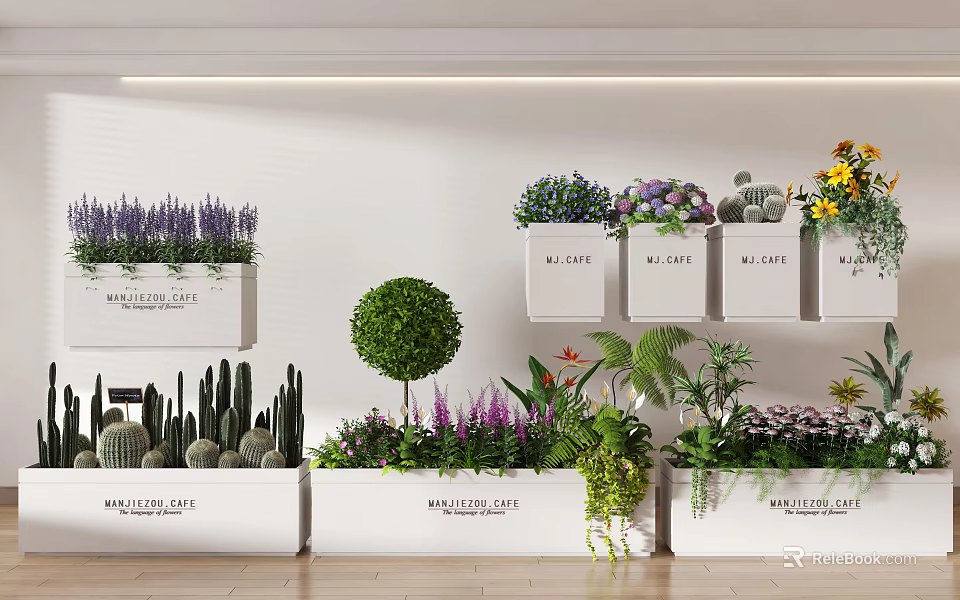 Elegant Indoor Bonsai And Potted Plants Display With Cactus Succulents Flowering Greenery And Decorative Planters 3d model 