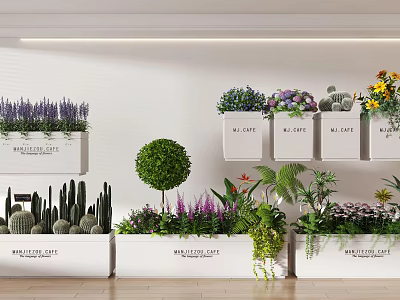 Elegant Indoor Bonsai And Potted Plants Display With Cactus Succulents Flowering Greenery And Decorative Planters 3d model