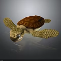 3D Rendered Turtle With Brown Patterned Shell Yellow Flippers And Big Eyes