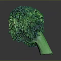 Vibrant Fresh Green Broccoli Florets Close Up View Isolated On Dark Background