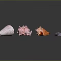 Marine Shellfish With Colorful Pink Orange Purple Shells In Various Shapes On Gray Background