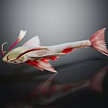 Vibrant Red And White Aquatic Fish With Long Barbels And Streamlined Body