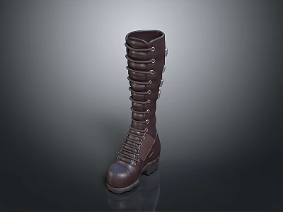 Stylish Brown Leather Boots With Laced Straps And Tall Shaft Design 3d model