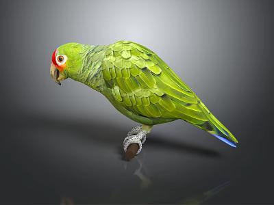 Green Parrot With Red Eye Patch And Vibrant Feathers Perched On Surface 3d model
