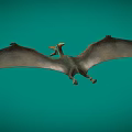 Pterosaur Fengshen Pterosaur Dinosaur Jurassic Ancient Creatures Ancient Birds Low Face Number Low Model Simple Model Game Next Era Film and Television Level Super Realism 3d model