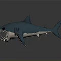Detailed 3D Blue Shark Model With Open Mouth And Sharp Teeth On Gray Background