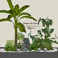 Lush Tropical Plants and Ferns Arrangement with Stone Light Balls White Pebbles for Nature Peace