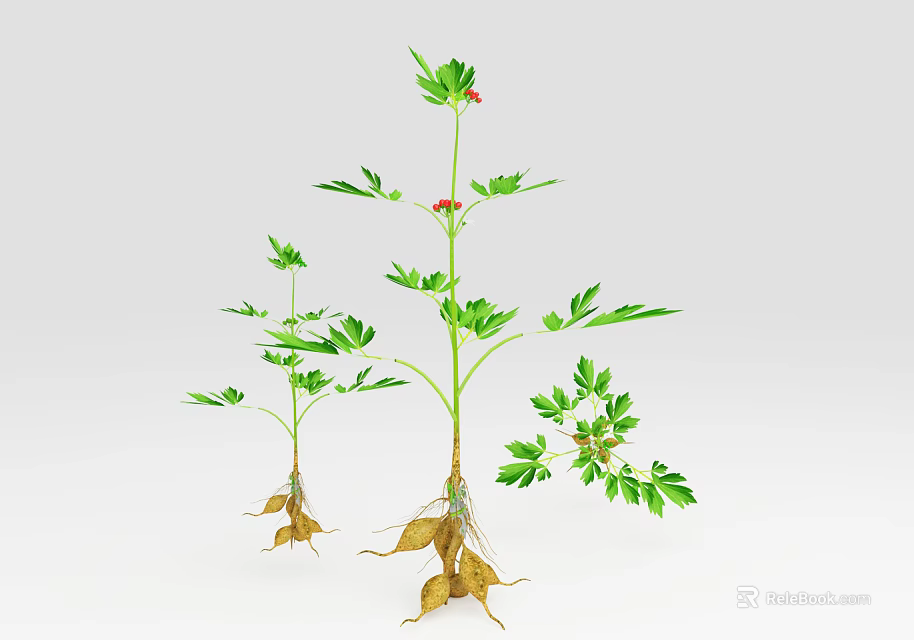 Vibrant Green Plants With Red Small Flowers And Exposed Roots 3d model 
