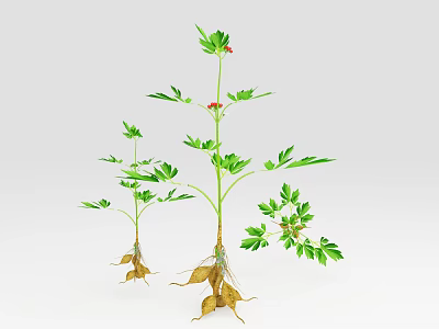 Vibrant Green Plants With Red Small Flowers And Exposed Roots 3d model