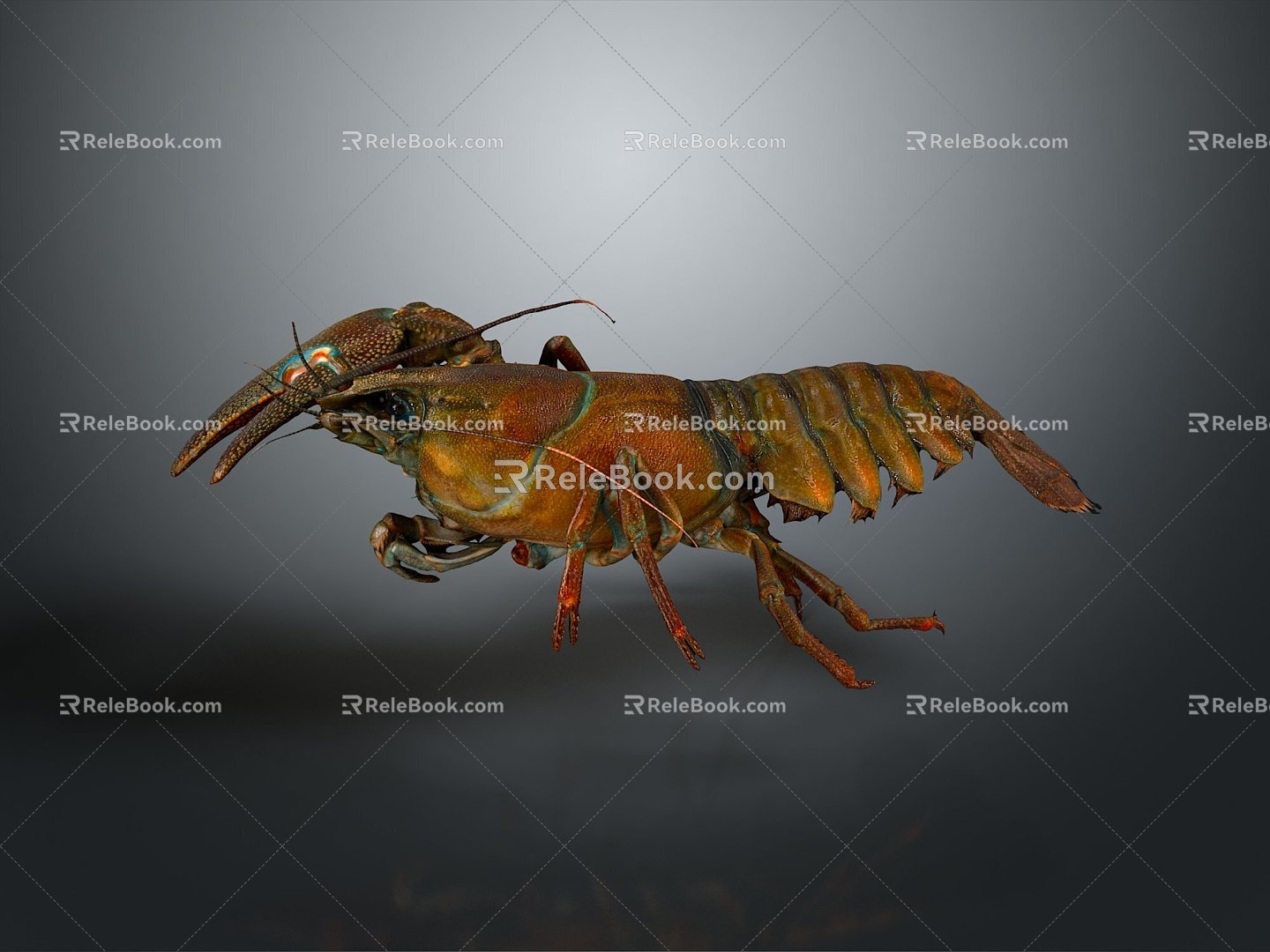 lobster big lobster crystal lobster cartoon lobster marine animal fish freshwater fish marine fish animal 3d model