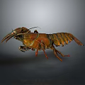 Orange Brown Marine Lobster With Detailed Texture Displaying Claws And Body
