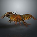 lobster big lobster crystal lobster cartoon lobster marine animal fish freshwater fish marine fish animal 3d model