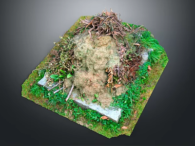 Decorative Miniature Garden Setup With Soil Mound Twigs Green Grass And Moss 3d model
