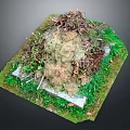 Decorative Miniature Garden Setup With Soil Mound Twigs Green Grass And Moss