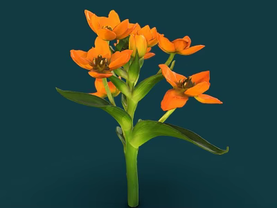 Vibrant Orange Flowers with Green Stems and Leaves on Dark Background 3d model
