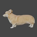 Realistic Brown And White Corgi 3D Model In Standing Pose With Detailed Features