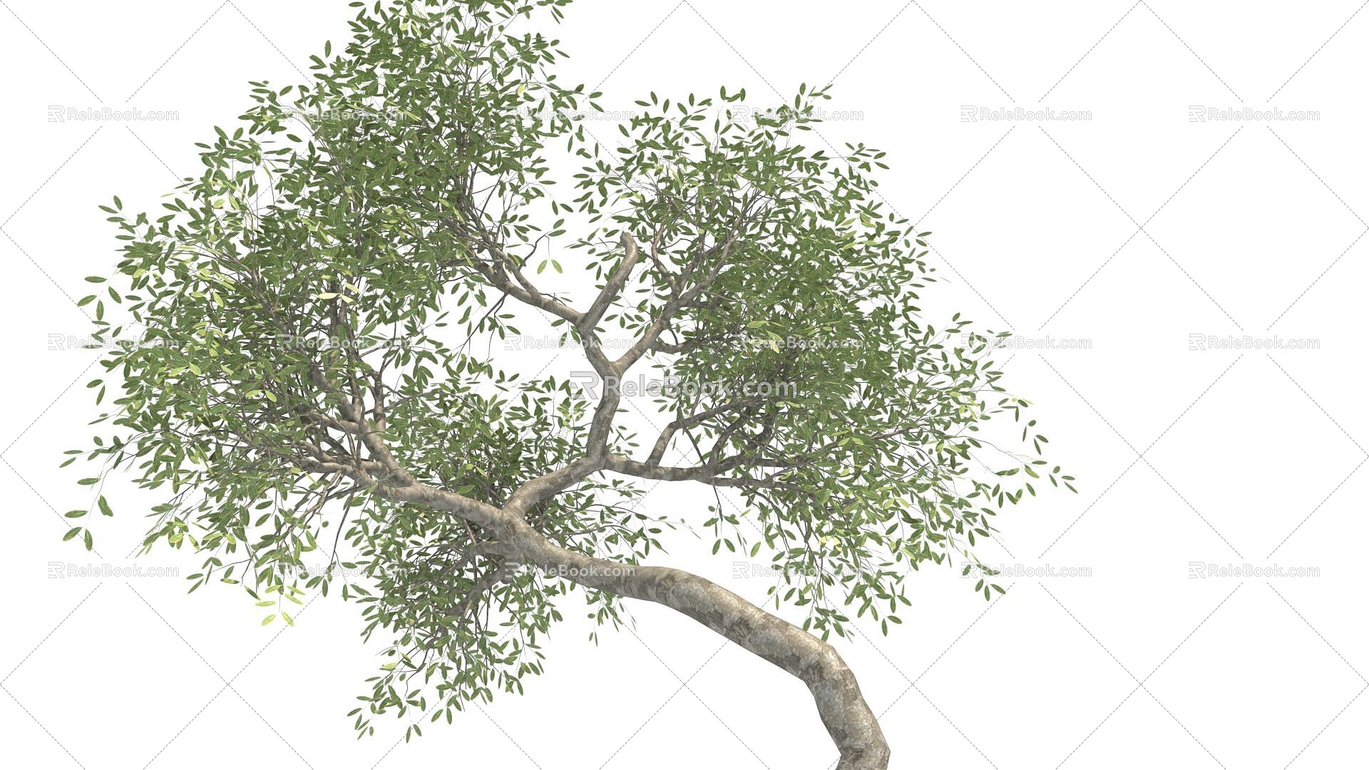 Yalda Tree 3d model