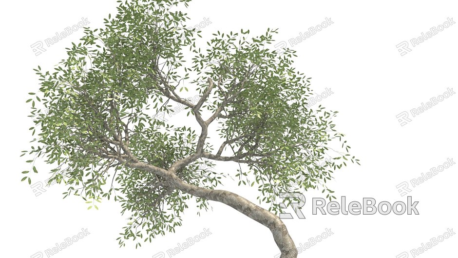 Yalda Tree model